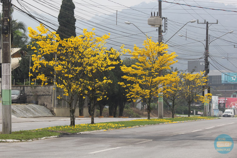 Brusque SC by gestaopublica.org