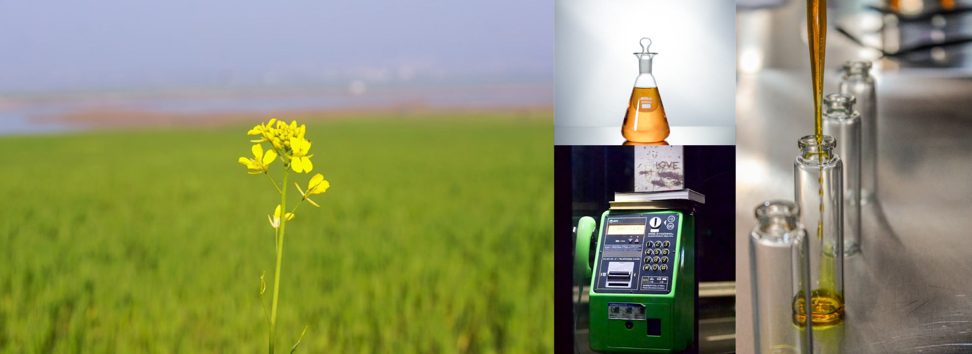 Laboratório de Biocombustíveis