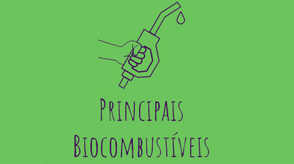 Sustentabilidade - Biocombustiveis