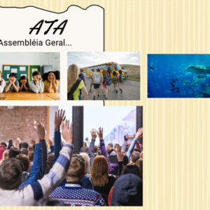 Terceiro Setor – Associação