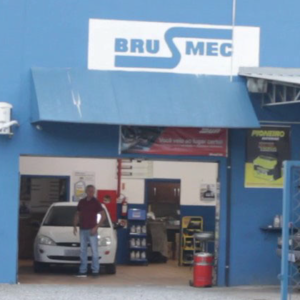 Brusmec